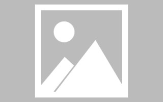 绥化新区景区网站建设（in art criticism,you must assume）